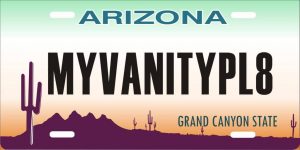PL8 Logo PL8 Logo1 300x150 My Vanity Pl8